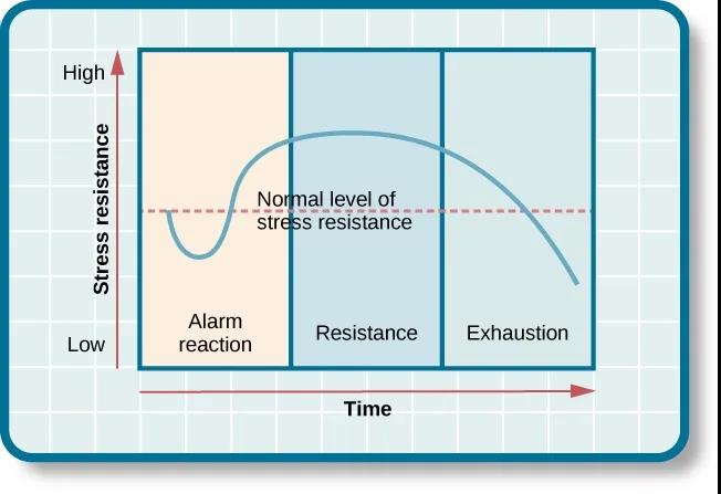 adaptation syndrome,)简称gas模型,以此来描述面对延长或过度应激时